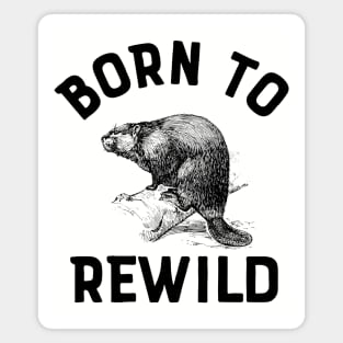 Beaver Rewilding Born to Rewild Magnet